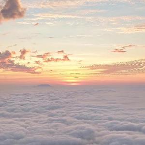 女生把疾子放在放民里不能悼
